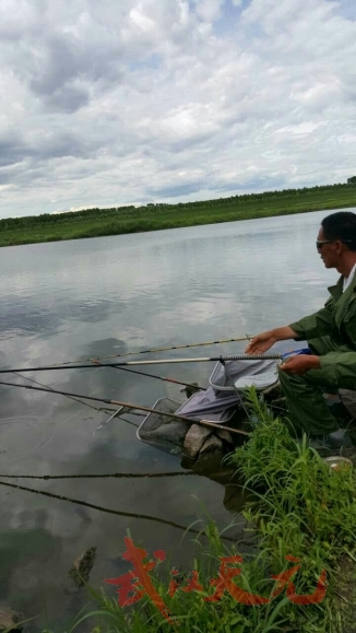 查农场游钓之行 - 武汉天元钓鱼论坛 - 钓鱼论坛